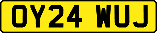 OY24WUJ
