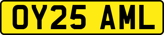 OY25AML