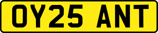OY25ANT