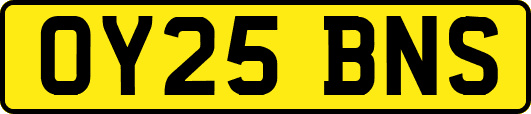 OY25BNS