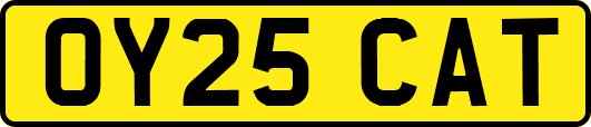 OY25CAT