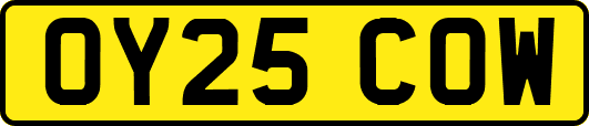 OY25COW