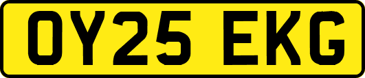 OY25EKG