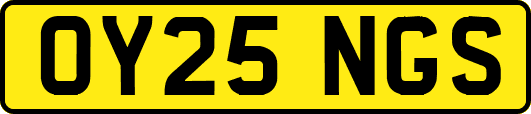 OY25NGS