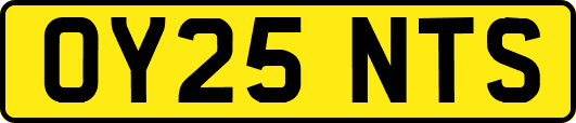 OY25NTS