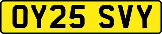 OY25SVY