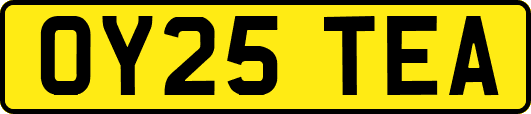 OY25TEA