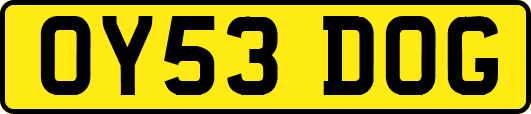 OY53DOG