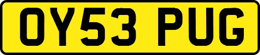OY53PUG