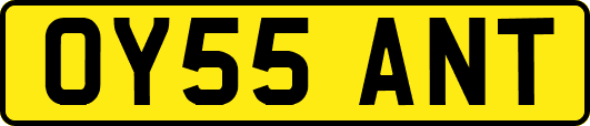 OY55ANT