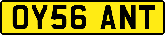 OY56ANT