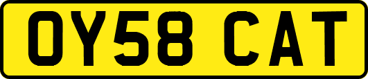 OY58CAT