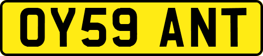 OY59ANT