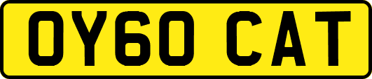 OY60CAT