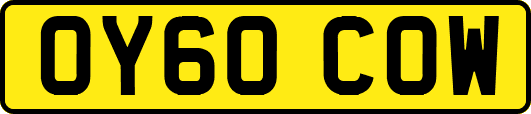 OY60COW