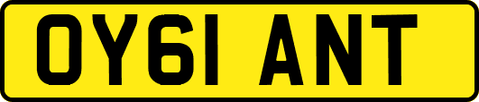 OY61ANT