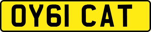 OY61CAT