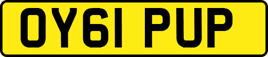 OY61PUP