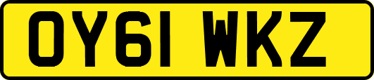 OY61WKZ