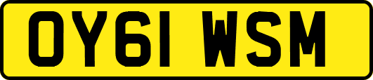 OY61WSM