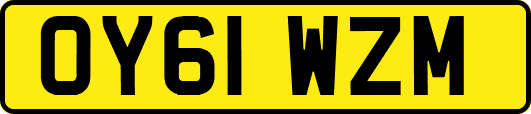 OY61WZM