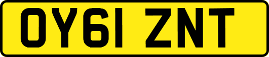 OY61ZNT