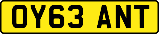 OY63ANT