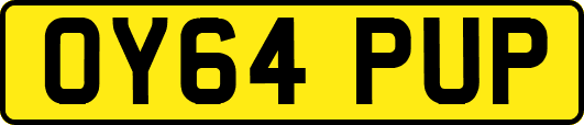 OY64PUP