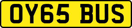 OY65BUS