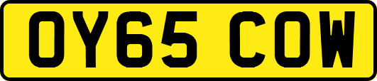 OY65COW