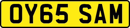 OY65SAM