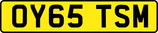 OY65TSM