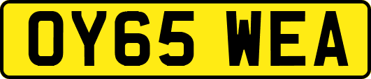 OY65WEA