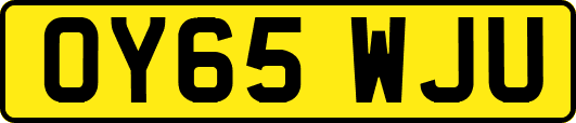 OY65WJU