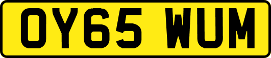 OY65WUM