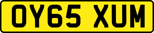 OY65XUM