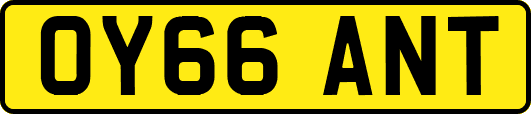 OY66ANT
