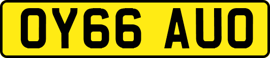 OY66AUO