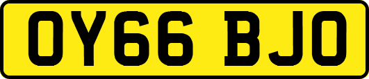 OY66BJO