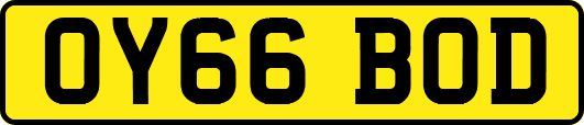 OY66BOD