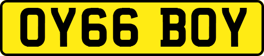 OY66BOY