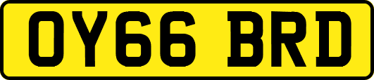 OY66BRD