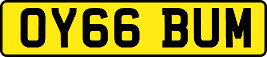 OY66BUM