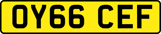 OY66CEF