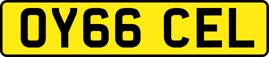 OY66CEL