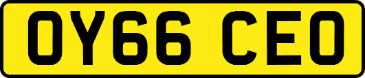 OY66CEO