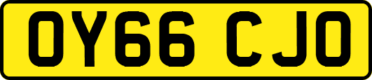 OY66CJO