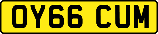 OY66CUM