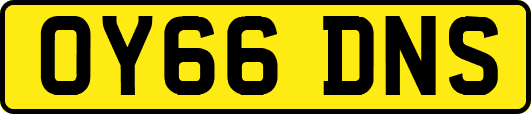 OY66DNS