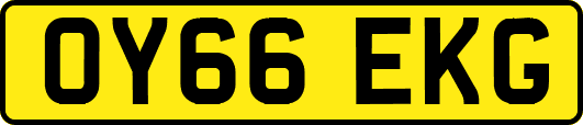 OY66EKG